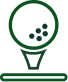 Golf Ball Icon